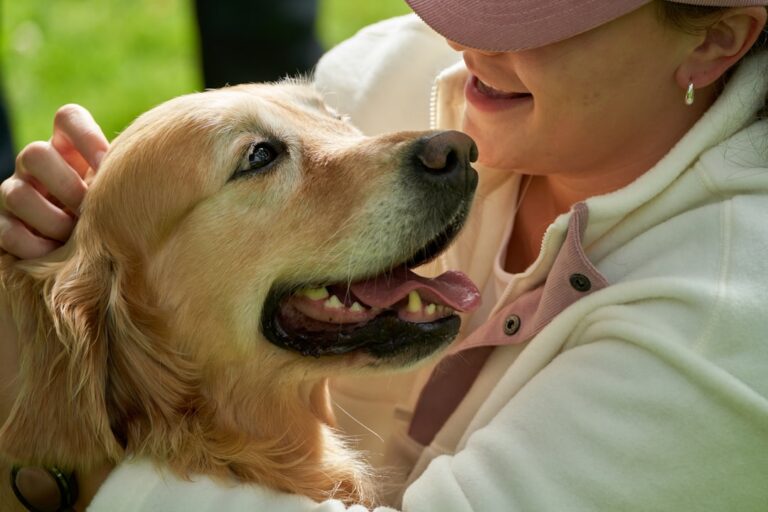 The Healing Power of Therapy Animals